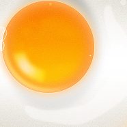 test_user01